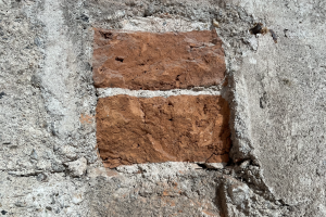 vacature toekomstig muurpatholoog